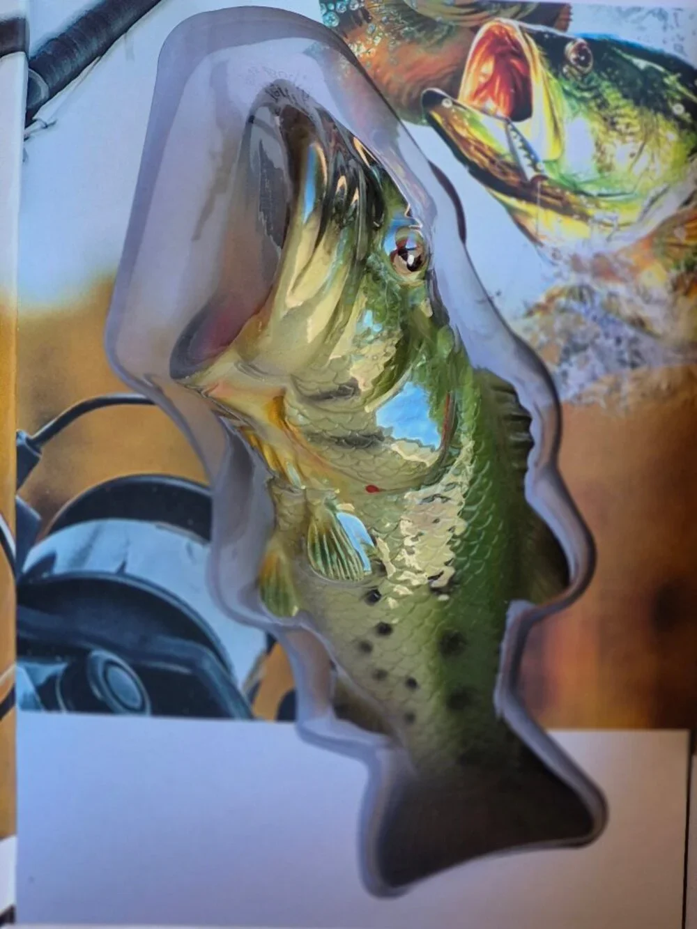 Terraen Bass Bottle Opener Fish Novelty